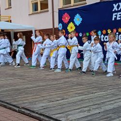 Festyn w Rozdrażewie - 09.06.2024