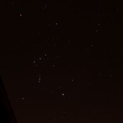 Orion