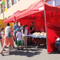 Obserwacje powierzchni Słońca - festyn w Rozdrażewie 05.06.2016