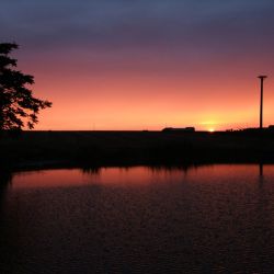 Obserwacje Perseid w Rozdrażewie - 10.08.2018