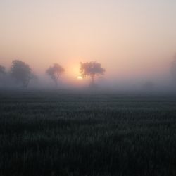 Tranzyt Wenus - 06.06.2012